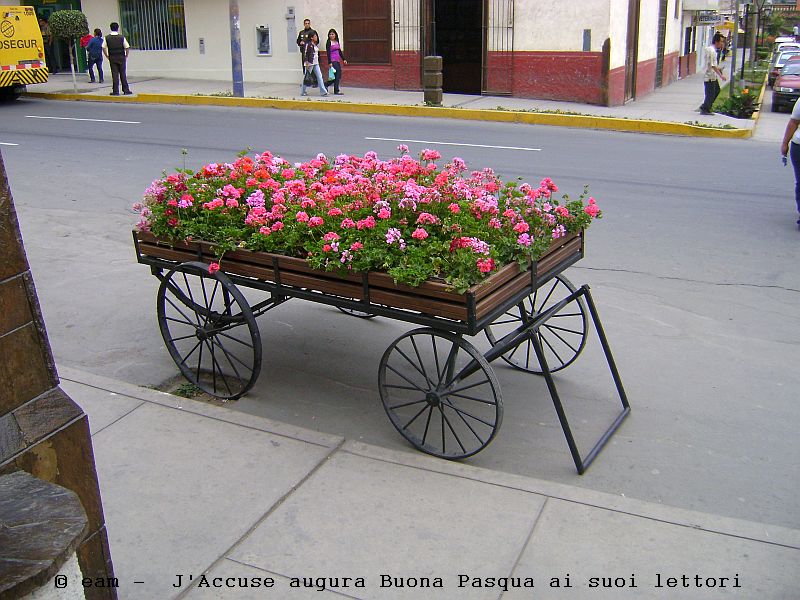 carrettino-di-fiori-800-px