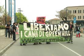 liberiamo-cani-gree-hill