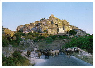 sanmarcoinlamis-paese