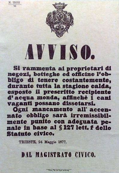 avviso dal magistrato civico trieste 1877