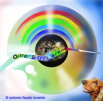 logo-oltrearcobaleno-400px