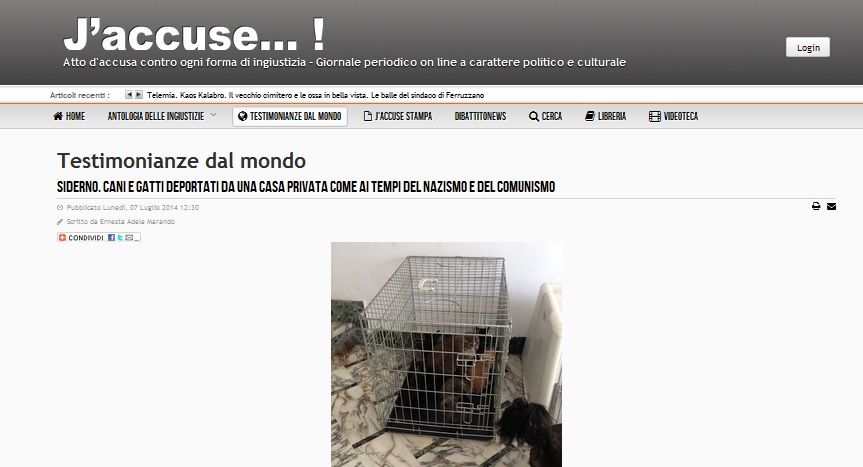 TESTATA JEACCUSE - SIDERNO CAI E GATTI DEPORTATI