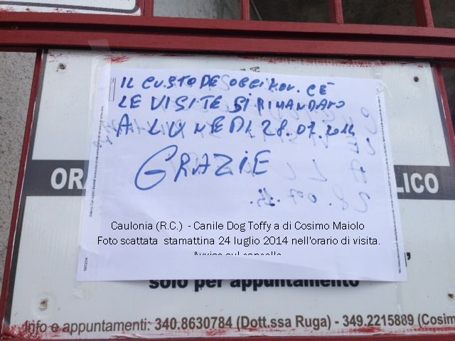 canile chiuso avviso